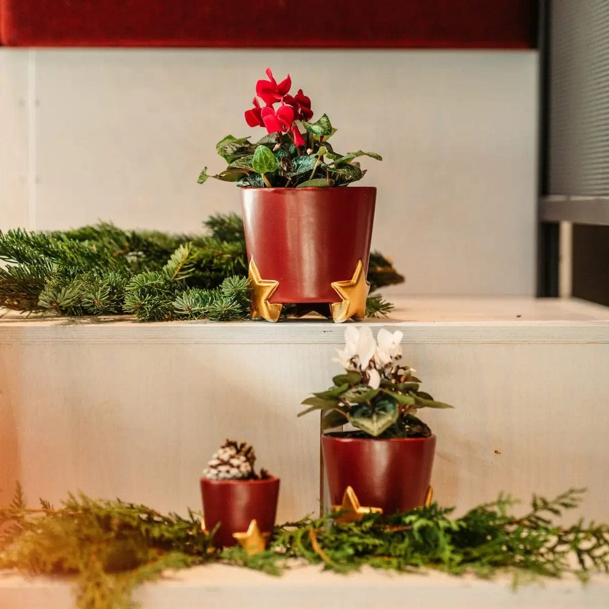 Set of plant pots with gold stars - ceramic 3 sizes and 2 colors