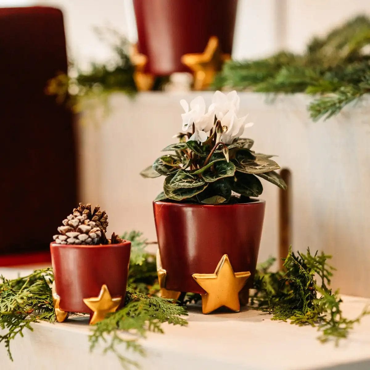 Set of plant pots with gold stars - ceramic 3 sizes and 2 colors