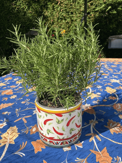 Painted planter for table decoration in 2 versions - H 4.72" Ø 5.31"