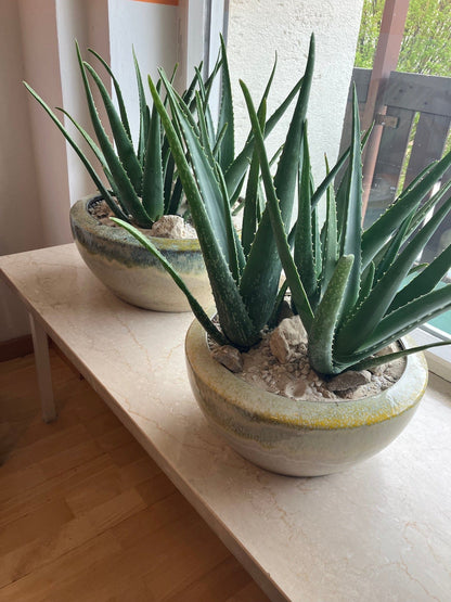 Mediterranean planter height 7.8" Ø 16.4" - glazed ceramic frost-proof